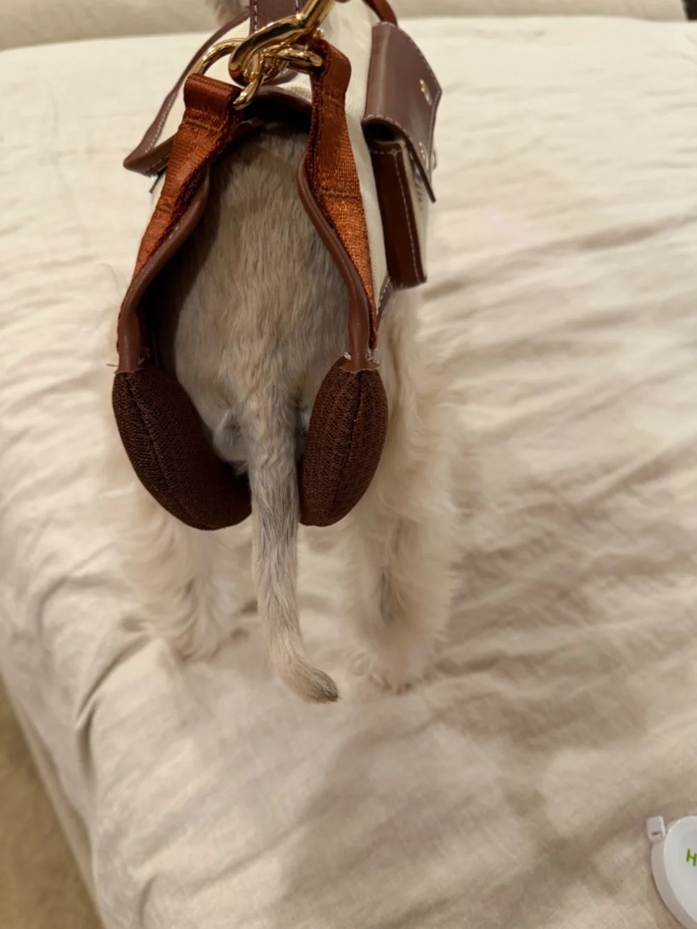 Dog Purse Carrier (Pet not included)